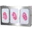 Bowman Dispensers GS-123 Glove Box Dispenser - Triple with Dividers