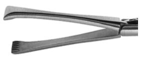 Grasper Standard Version