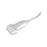 Linear Array Transducer Probe