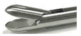 Biopsy Spoon Forceps