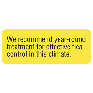 Tabbies Medication Instruction Labels, "Fluorescent Yellow" - 2-1/4"W x 7/8"H, 420 per Roll - V-AN659