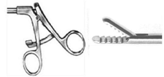 Ratchet Handle - Grasping Forceps
