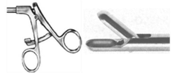 Ratchet Handle - Spoon Forceps