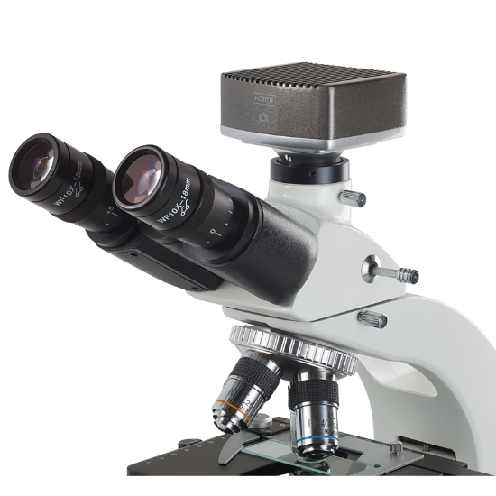 Microscopes