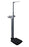 Neck/ Swivel Assembly