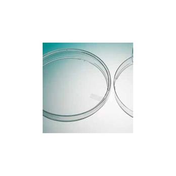 Star - Petri Dish - 25389-006