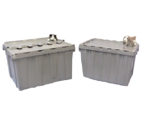 Healthmark Flip-Top Containers