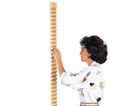 Hausmann Shoulder Ladder - 2½" x 1½" x 58", - 2515