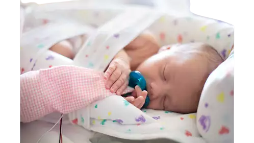 Philips Healthcare Frederick T. Frog, Launderable Cover - 1084678