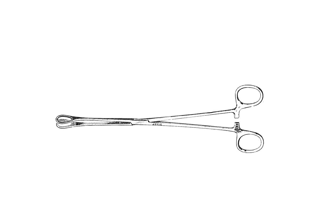 Sponge Forceps