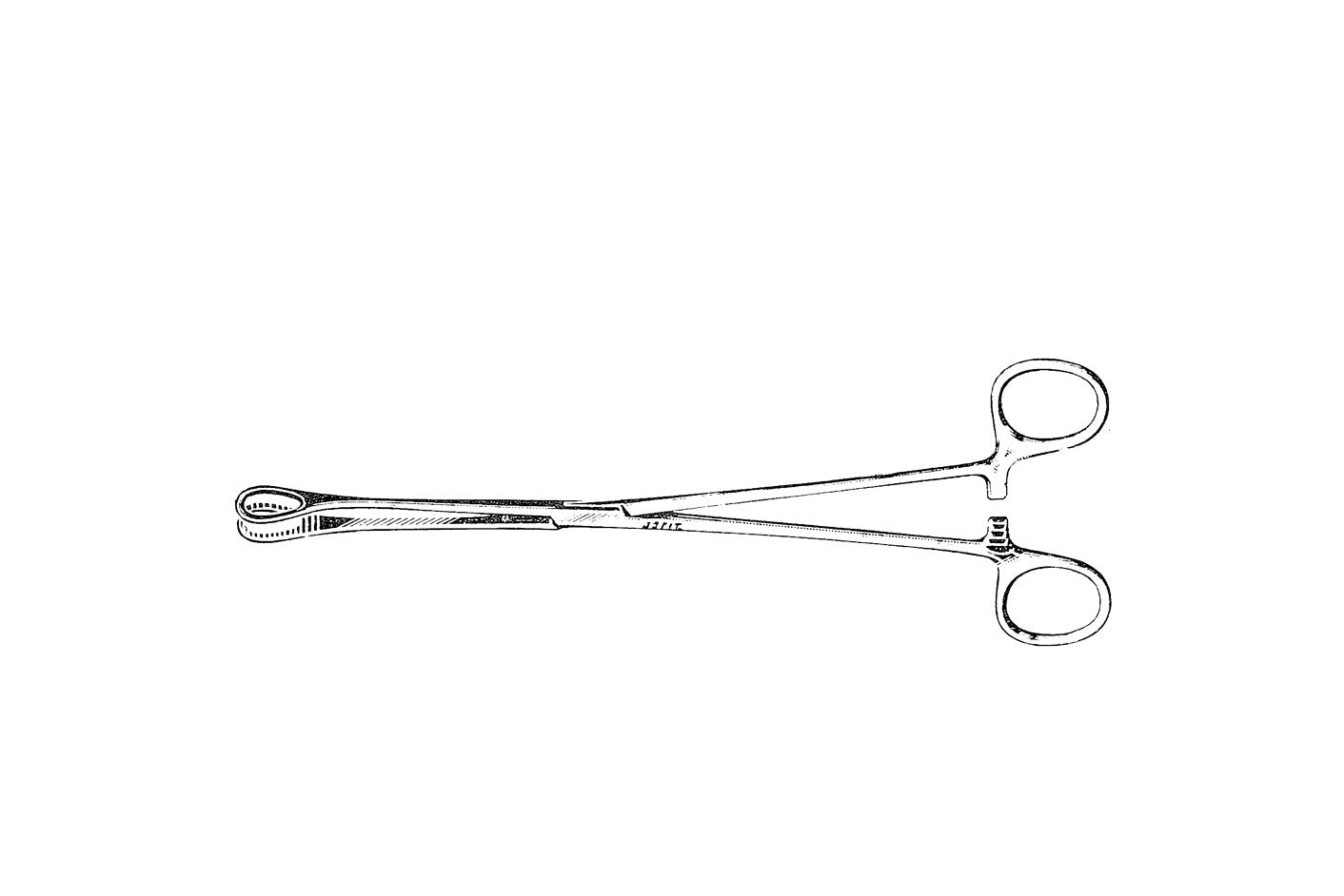 Sponge Forceps