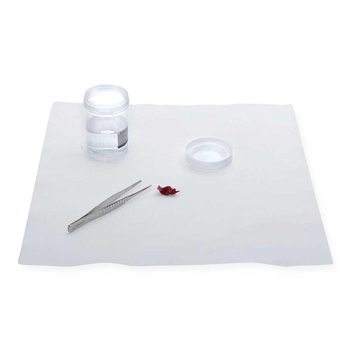 Formalin Neutralizing Pad