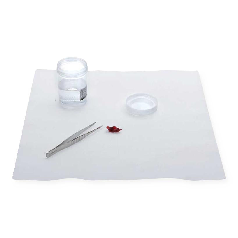 Formalin Neutralizing Pad