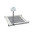 Wheelchair Ramp Scale
