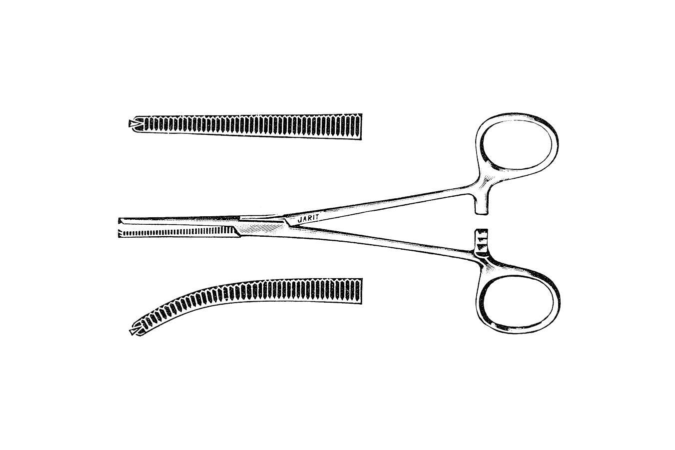 Artery Forceps