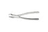 Extracting Forceps