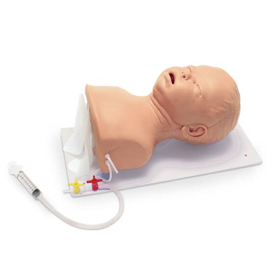 Intubation Head Trainer