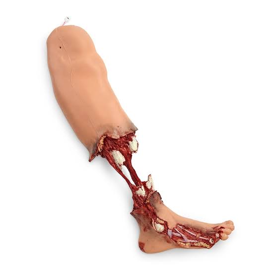 Trauma Leg Manikin