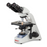 Microscope