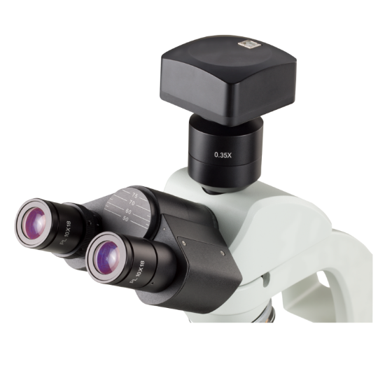 Microscope