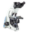 Microscope