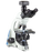 Microscope