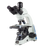 Microscope