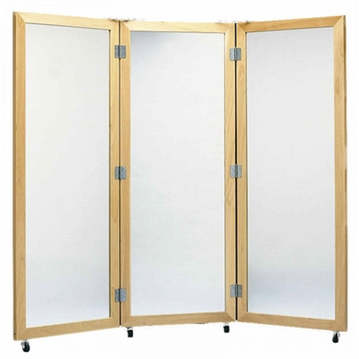 Posture Mirrors