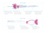 Closed IV Catheter