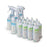 Bleach Solution Dispensing System