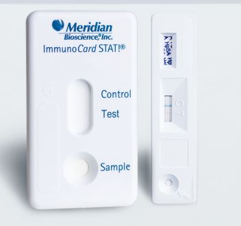 Rapid Test