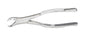 Extracting Forceps