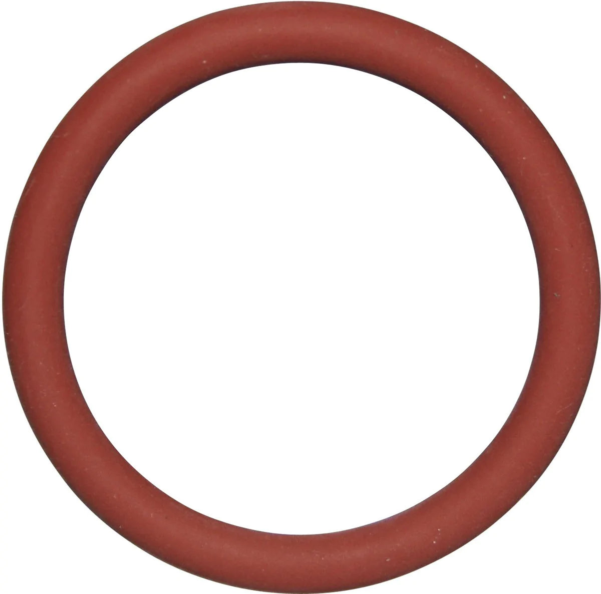 Integra Lifesciences - Ear Syringe O-Ring Small - 19397