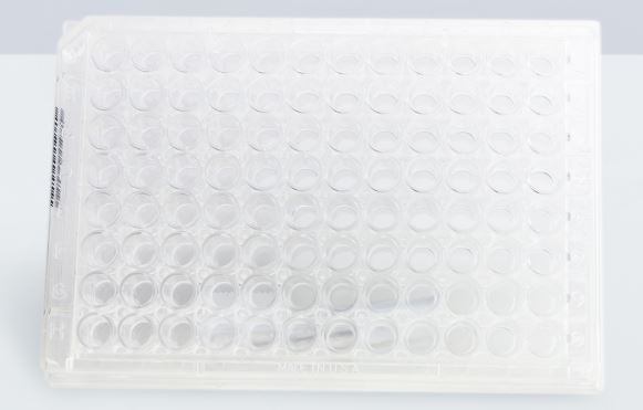 Test Kit