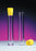 10/12mL Plug Cap Transport Vials