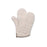 Key Surgical Sterilizer Mitt (13") - PS-3613