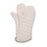 Key Surgical Sterilizer Mitt (17") - PS-3617