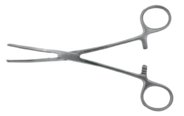 BR Surgical Hemostatic Forceps Rochester-Carmalt 8 Inch Straight - BR12-34020