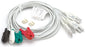 Replacement Leads