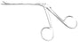Bausch+Lomb - Ear Forceps Noyes 5-1/2 Inch Length Stainless Steel NonSterile Finger Ring Handle Straight Serrated Alligator Jaws - N0950