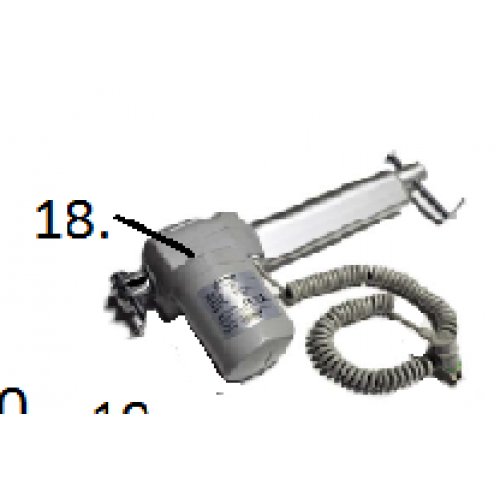Head Motor