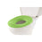 Potty Seat