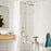Shower Stool/Chair