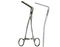 Tissue Forceps