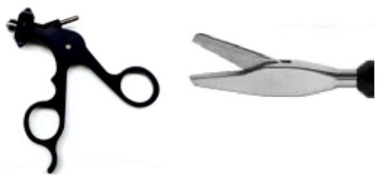 Straight Scissors