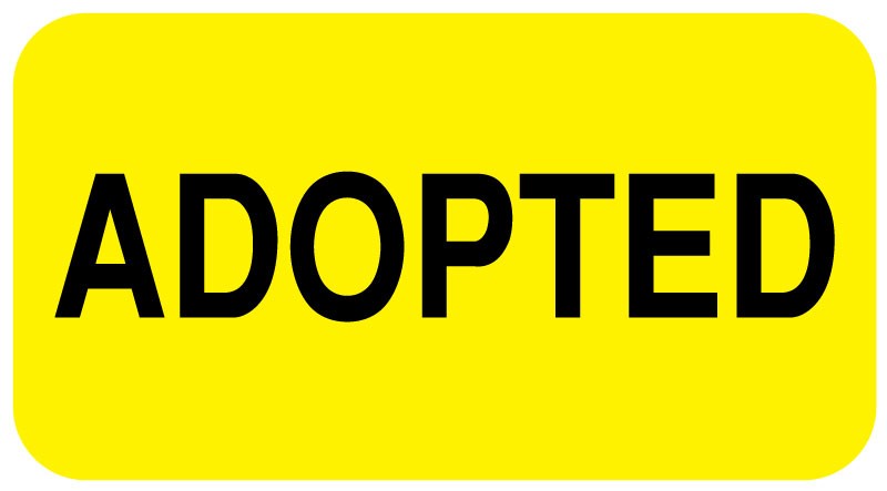 Medical Labels - ADOPTED, 1-5/8" x 7/8"
