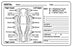 Medical Labels - Equine Dental Exam Label, 4 X 2-5/8