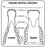 Medical Labels - Equine Dental Record Label, 2-1/2" X 2-1/2"
