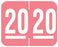 Medical Labels - Tab Compatible 2020 Year Label, 1-1/4" x 1"