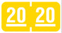 Medical Labels - Smead Compatible 2020 Year Label, 1" x 1/2"